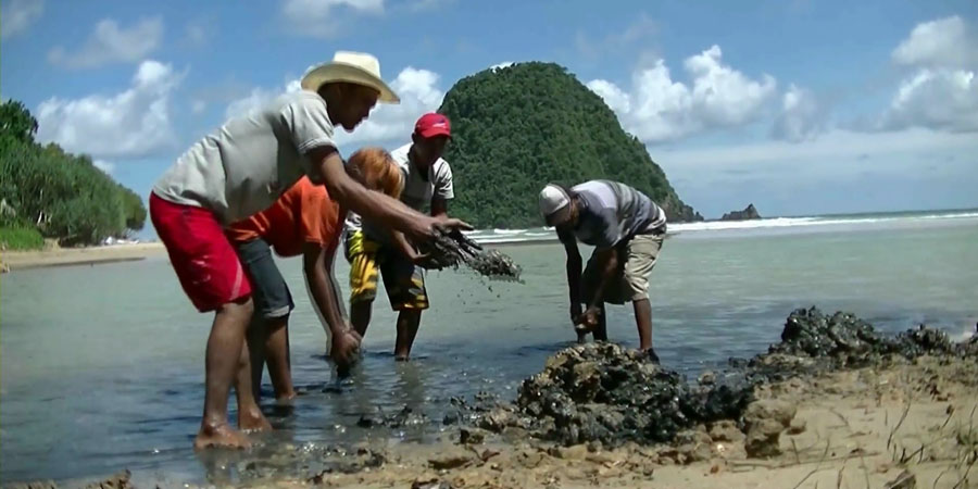 Penambangan Emas di Banyuwangi Cemari Pulau Merah 