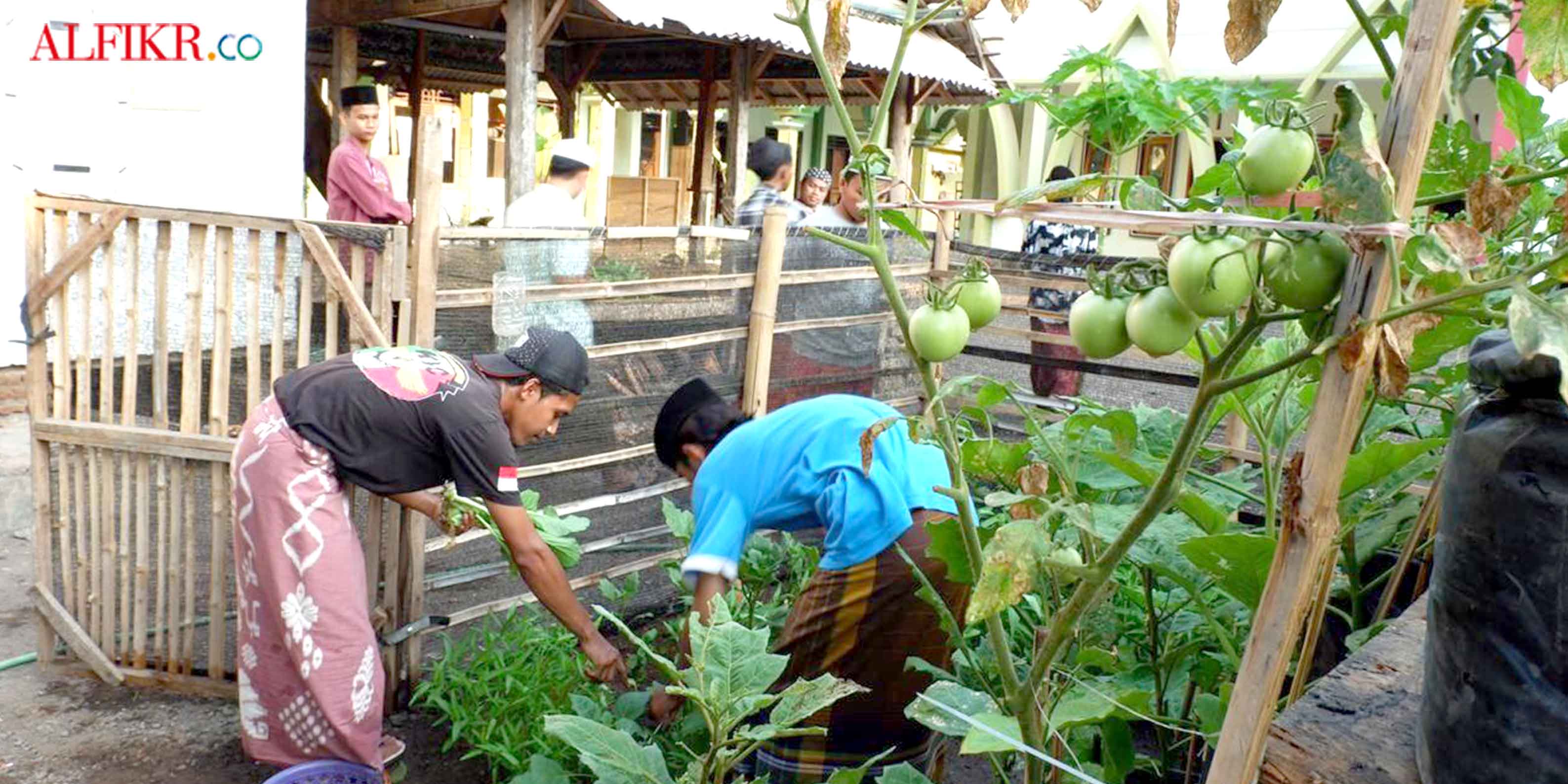 Menjadi Petani yang Santri