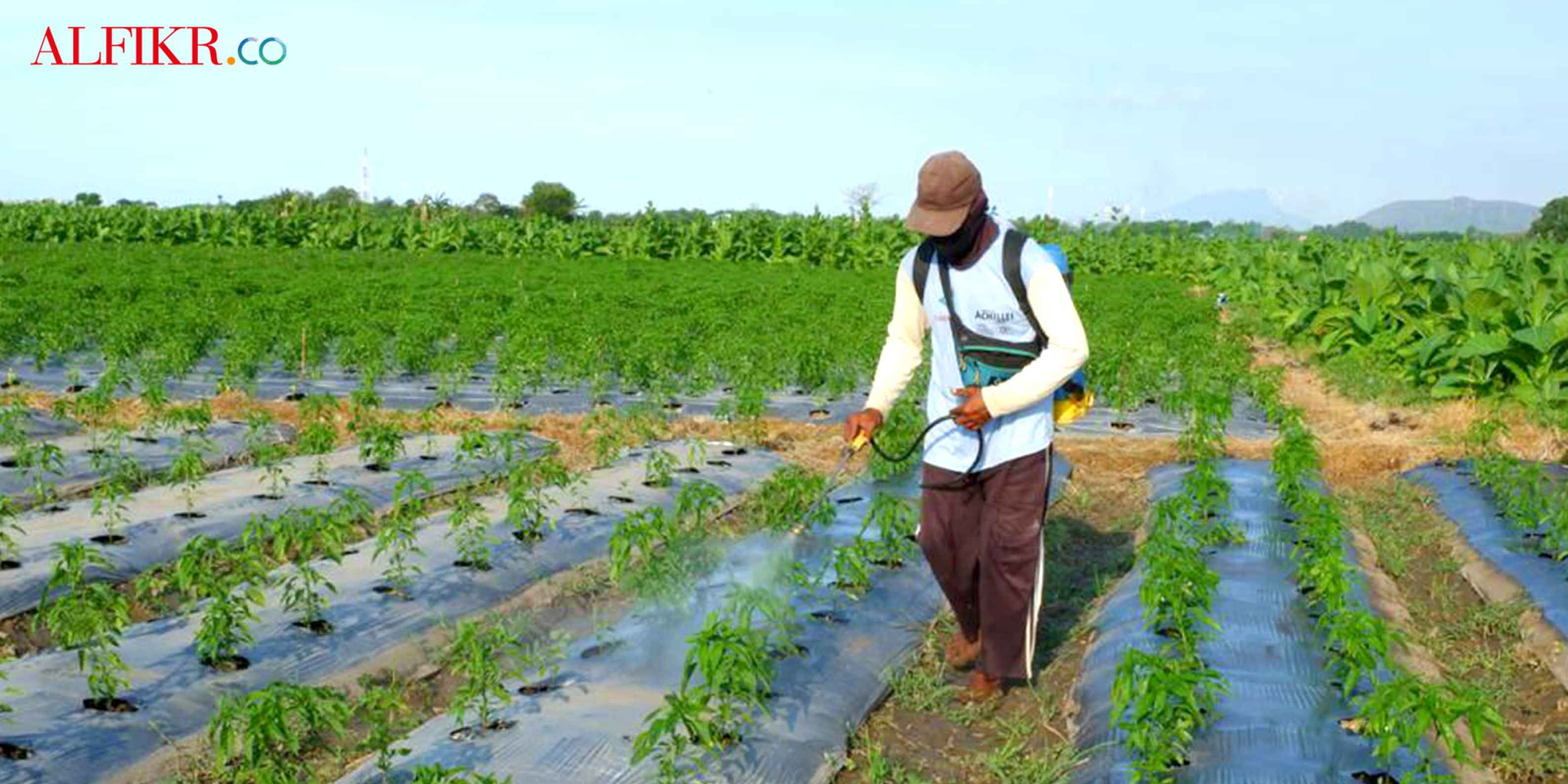 Bertani Itu Sejahtera dan Merawat Tradisi