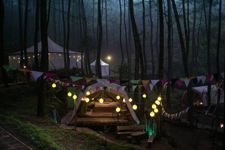 Glamping DeLoano: Wisata Pinus di Purworejo