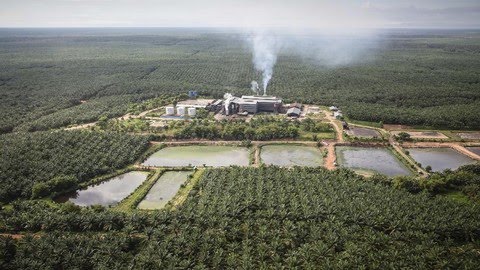 Kerusakan Lingkungan di Indonesia Bermula dari Pena Meja Para Pejabat