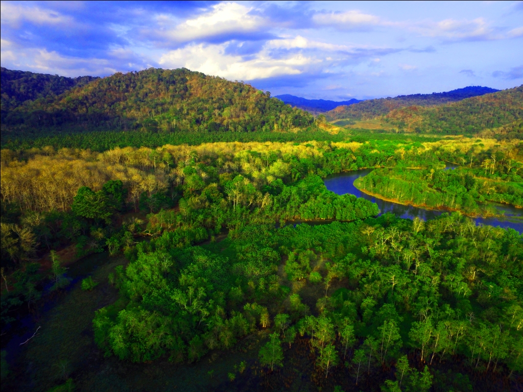 Taman Nasional Meru Betiri: Wisata Favorit Berbasis Ekowisata