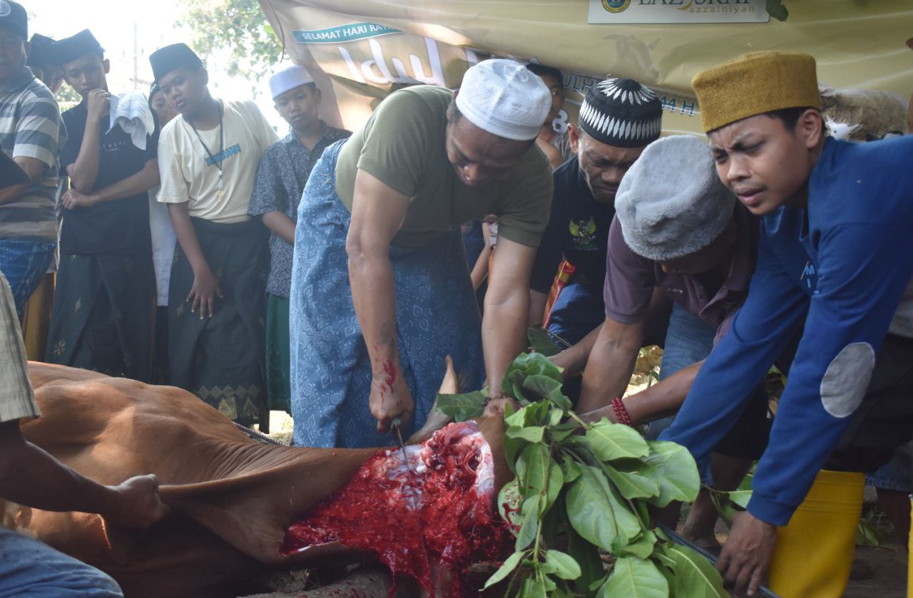 Ponpes Nurul Jadid: Menyembelih 10 Ekor Hewan Kurban di Hari Raya Idul Adha 1444 H