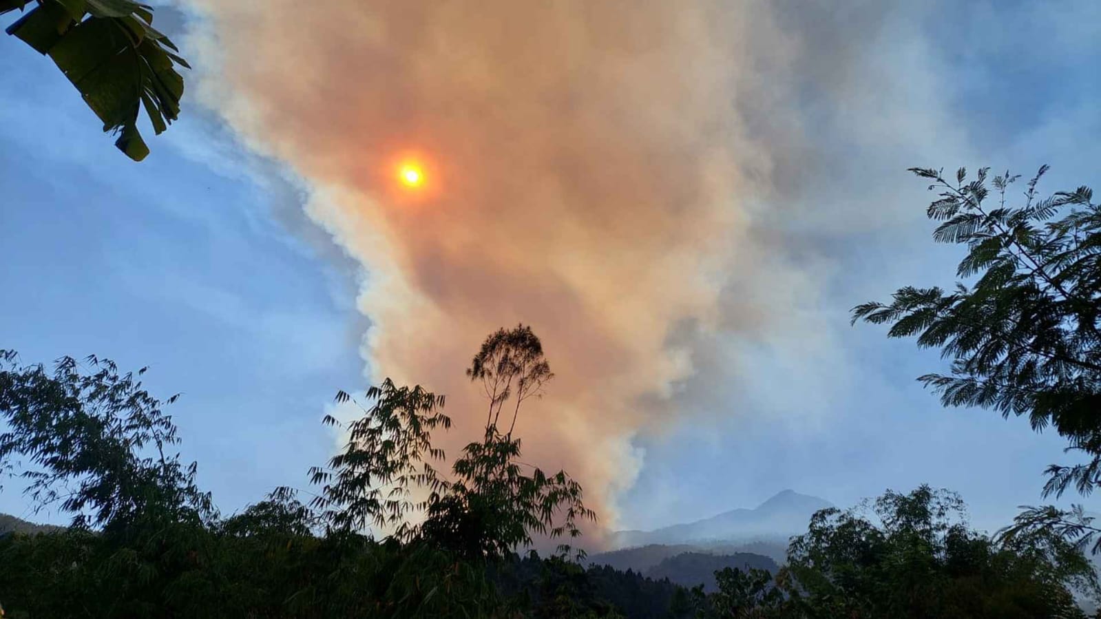 Kebakaran Hutan di Pegunungan Argopuro Probolinggo